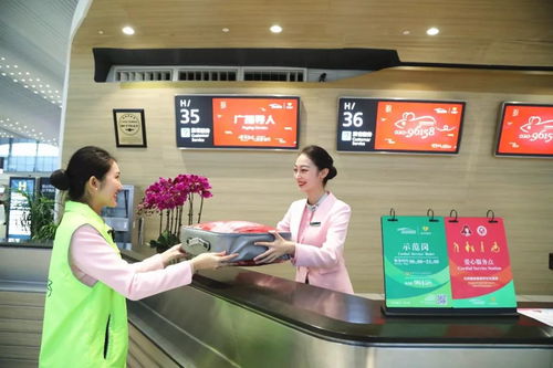 春风白云，让出行更美好——白云机场十大服务举措助力春运