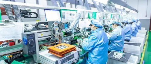 十堰市人社局多措并举推进职业技能提升，技术转让助力成果转化