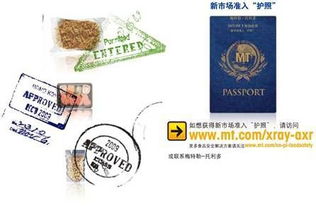 梅特勒-托利多12月产品检测技术交流会 共享技术成果，开启合作新篇章